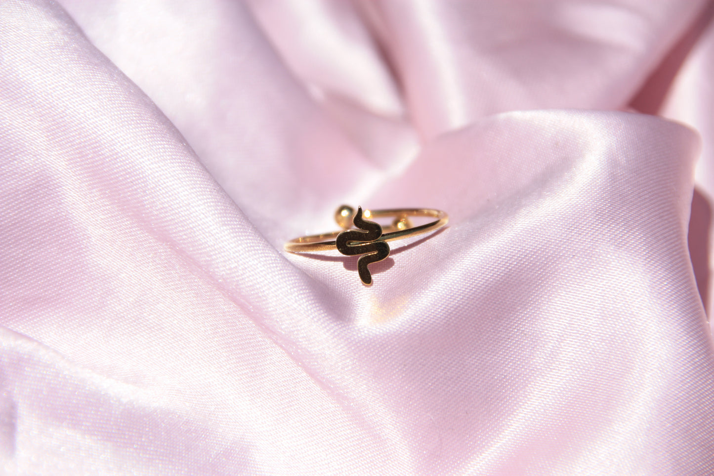 Anillo Mini Snake