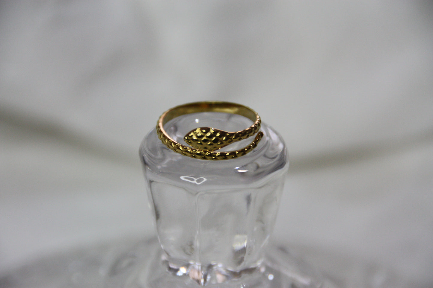 Anillo Snake