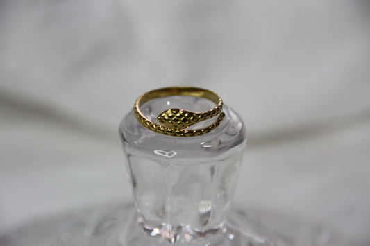 Anillo Snake