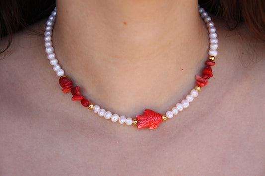 Caribe Pez Rojo