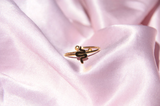Anillo Mini Snake
